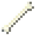Bone bone
