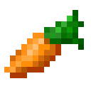 Carrot carrot