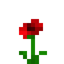 poppy