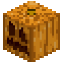 Pumpkin pumpkin