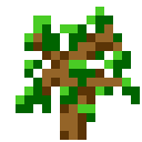 sapling_oak