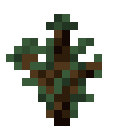 Sapling Spruce sapling_spruce