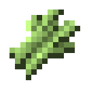 sugar_cane