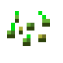 wheat_seeds